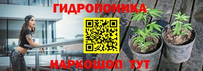 PSILOCYBIN Туймазы