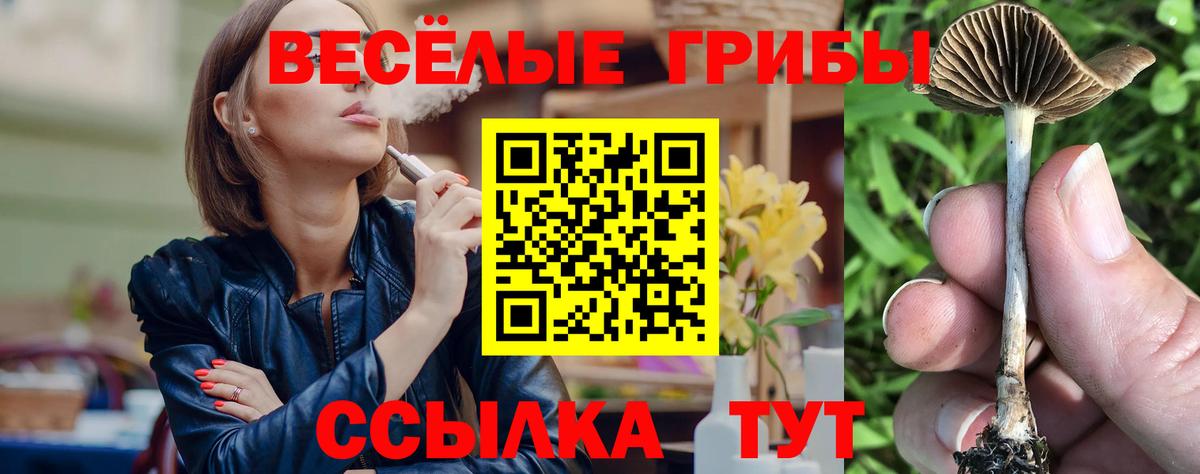 Галлюциногенные грибы Psilocybine cubensis Брянск